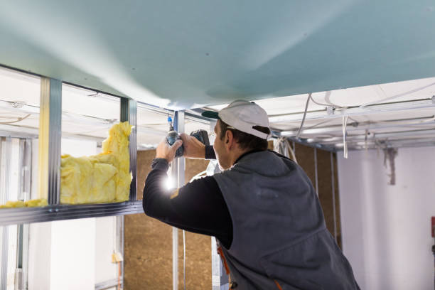 Best Insulation Repair Services  in Preston, IA