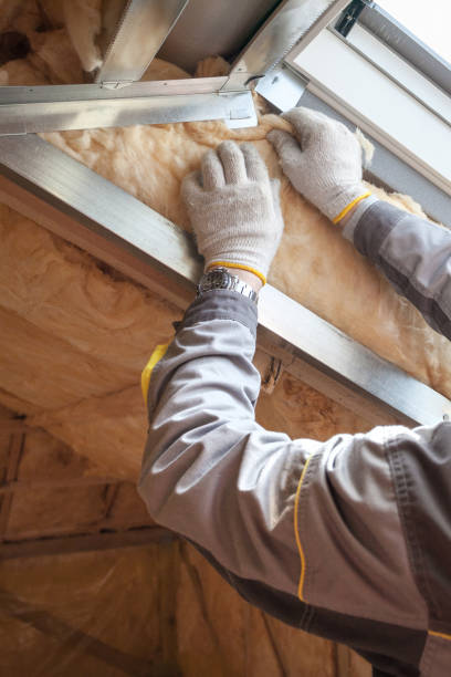 Best Commercial Insulation Contractor  in Preston, IA